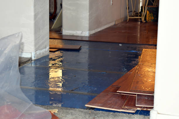 Professional Basement Flood Cleanup technician working in Far Rockaway, NY